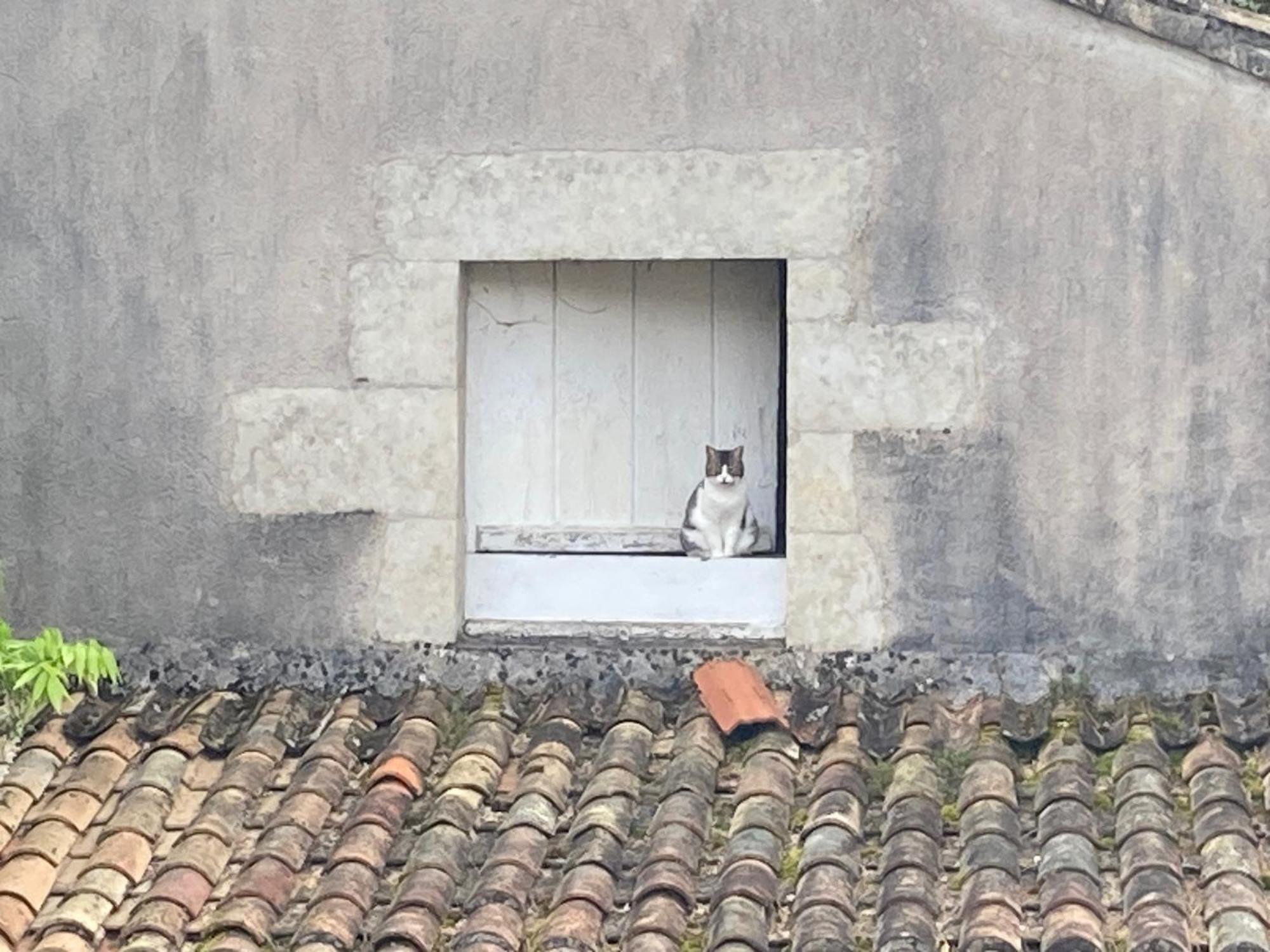Mazette! Le Chateau Niort Ngoại thất bức ảnh